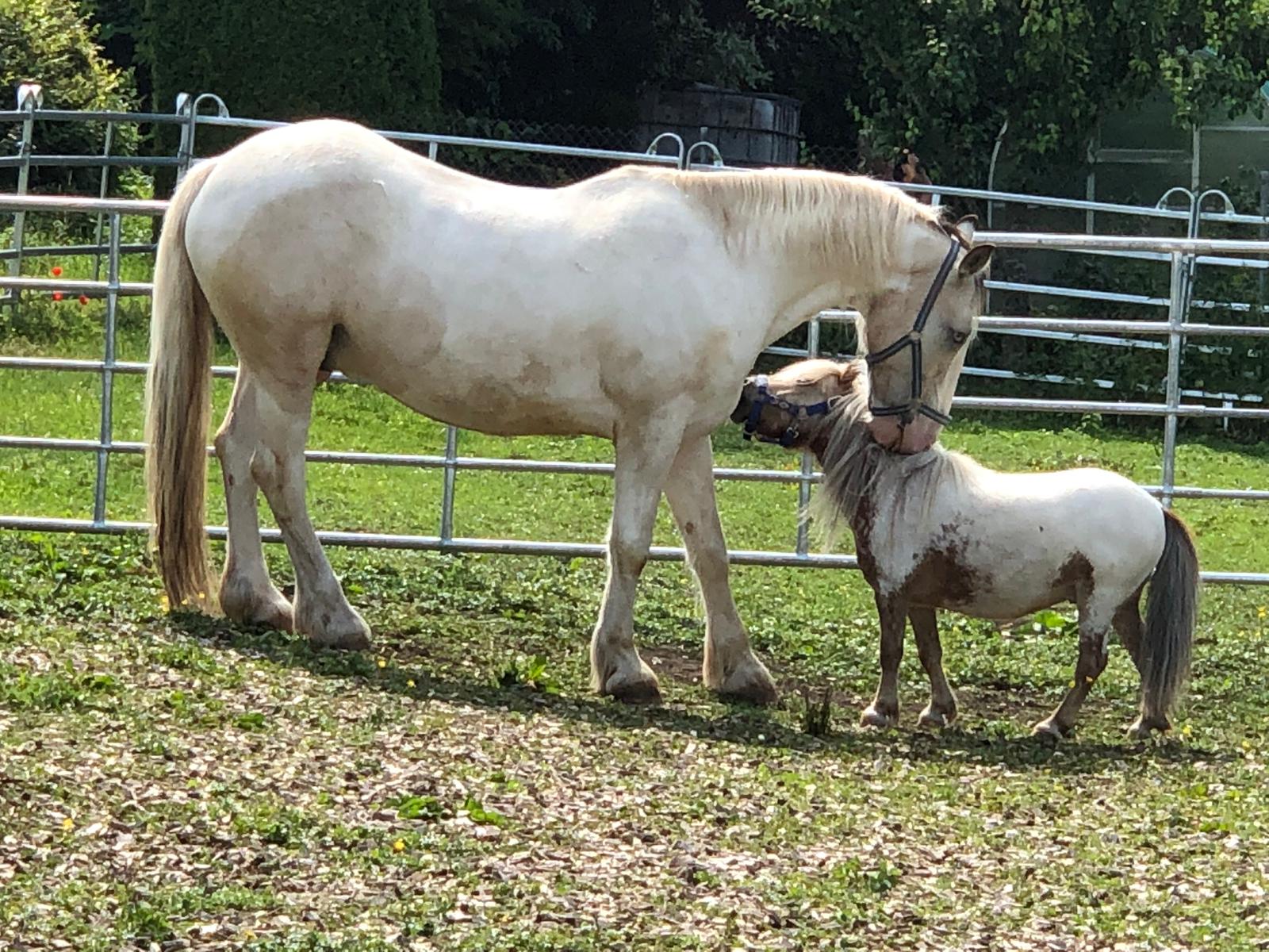 PHOTO-2019-07-18-13-26-34.jpg